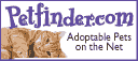 Pet adoption